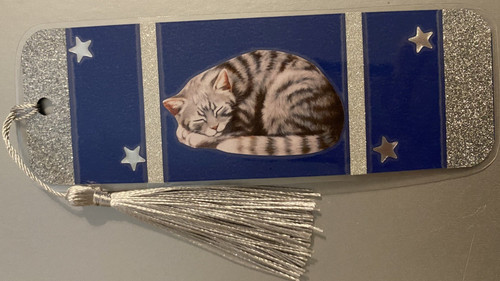 Cat kitten and - and, star